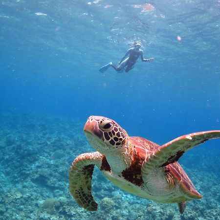 Ishigaki Seaside Hotel Luaran gambar