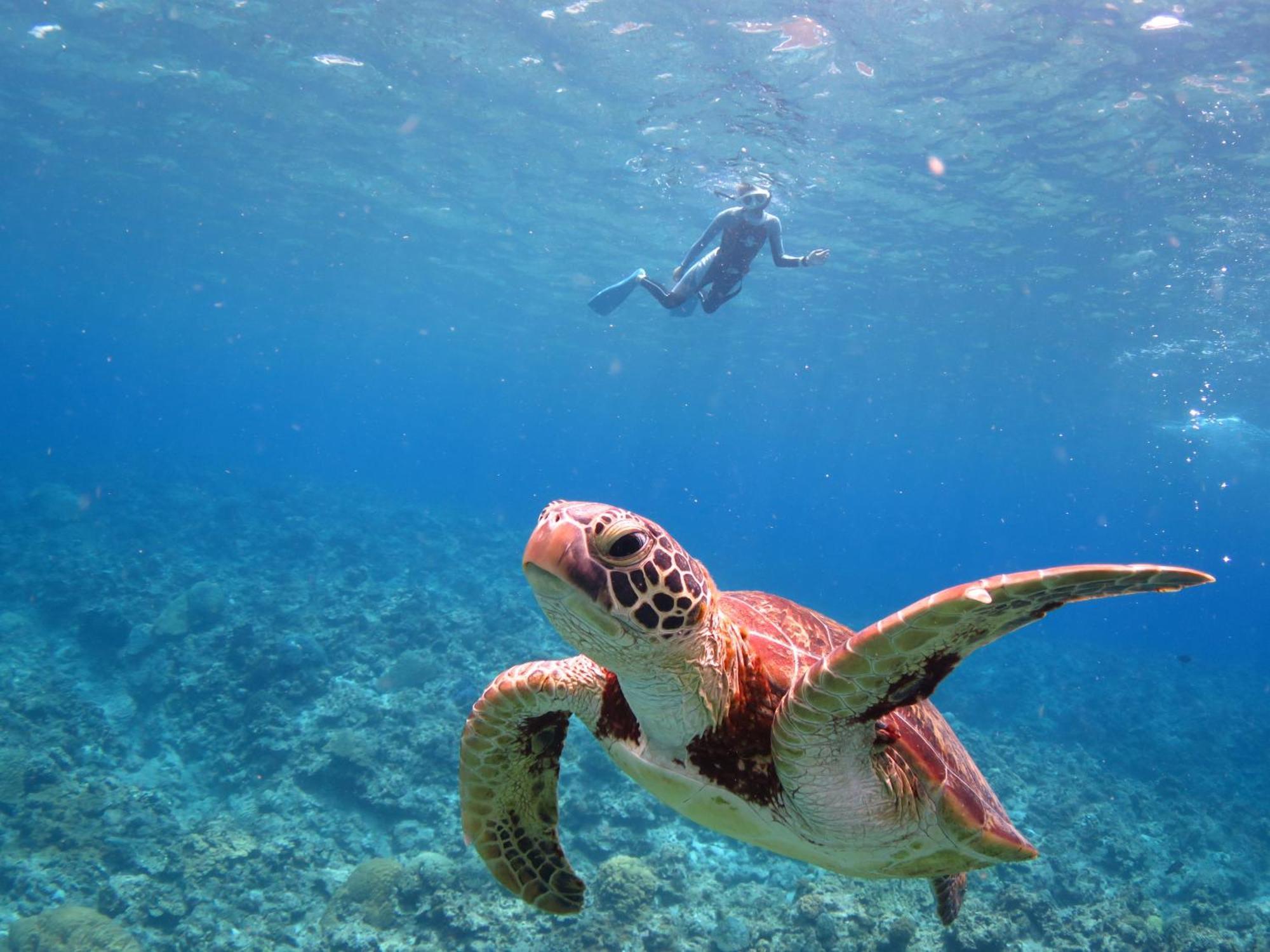 Ishigaki Seaside Hotel Luaran gambar